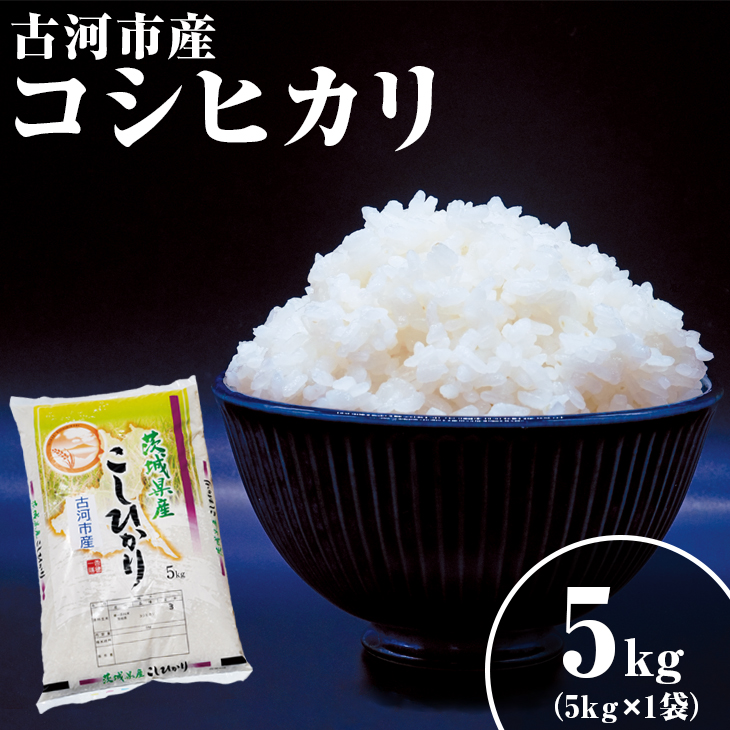 ߘa6NY 5kg ֓ňÉ͎sYRVqJ 5kg (5kg×1) |   R Ђ 5L É͎sY 錧Y _DG03 kCEEւ̔zs錧É͎s10000āEp