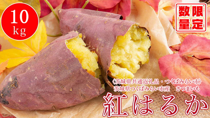 オーガニックさつまいも(紅はるか)10kg【農薬・肥料不使用】土つき〈茨城県共通返礼品・つくばみらい市〉_DM02 ※2023年9月上旬〜2024年2月下旬頃に順次発送予定茨城県古河市24000野菜・きの