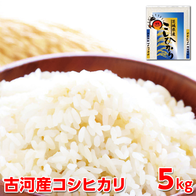 【新米】令和7年産 古河産コシヒカリ(5kg)| 米 こめ コメ 5キロ こしひかり コシヒカリ 古河市産 茨城県産 贈答 贈り物 プレゼント 茨城県 古河市 直送 産地直送 ※2025年9月上旬頃より順次