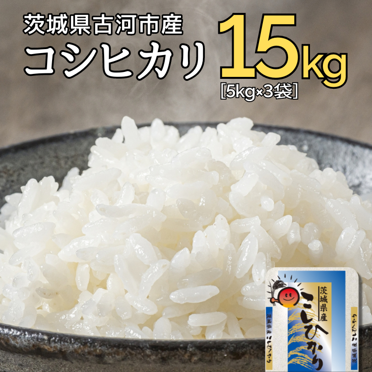 【新米】令和7年産 古河市産コシヒカリ 15kg(5kg×3袋)| 米 こめ コメ 15キロ こしひかり コシヒカリ 古河市産 茨城県産 贈答 贈り物 プレゼント 茨城県 古河市 直送 産地直送 ※2025年9月上旬