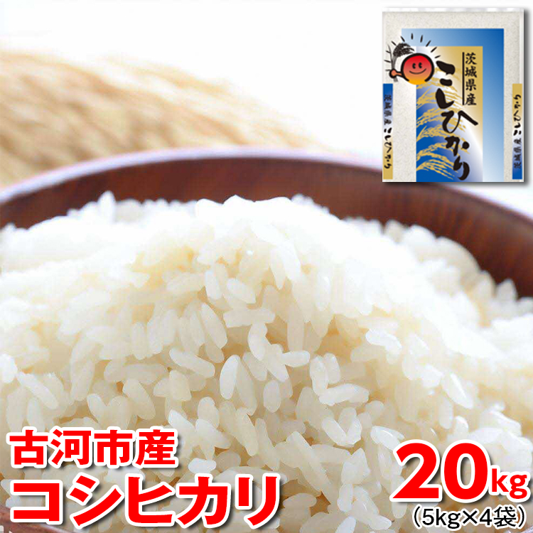 【新米】令和7年産 古河市産 コシヒカリ 20kg(5kg×4袋)| 米 こめ コメ 20キロ こしひかり コシヒカリ 古河市産 茨城県産 贈答 贈り物 プレゼント 茨城県 古河市 直送 産地直送 ※2025年9月上