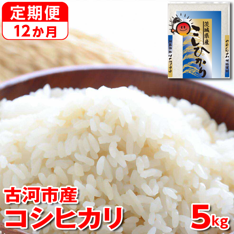 【定期便 12か月】【新米】令和7年産 古河市産コシヒカリ 5kg | 米 こめ コメ 5キロ 定期便 こしひかり コシヒカリ 古河市産 茨城県産 贈答 贈り物 プレゼント 茨城県 古河市 直送 産地直送 _D