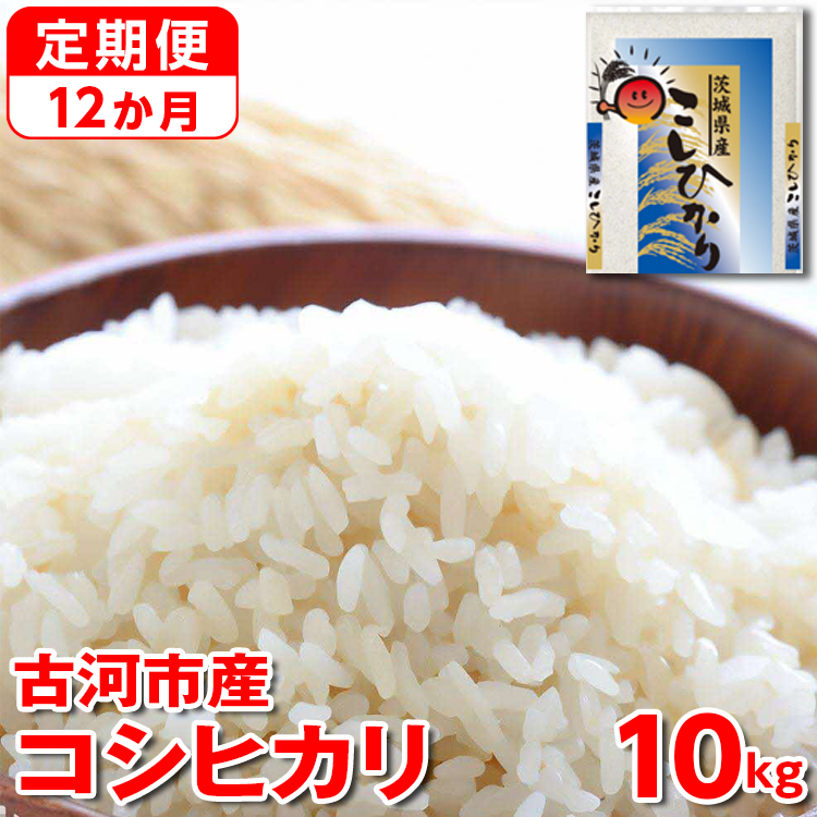 【定期便 12か月】【新米】令和7年産 古河市産コシヒカリ 10kg(5kg×2袋)|米 コメ こめ ごはん ご飯 ゴハン 白飯 単一米 国産 コシヒカリ こしひかり 10kg 定期便 12ヶ月 12回 1年 茨城県 古河市