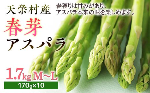 ys\z VhY tAXpM`LTCY 1.7kg F21T-439Vh15000؁Ê̑ 