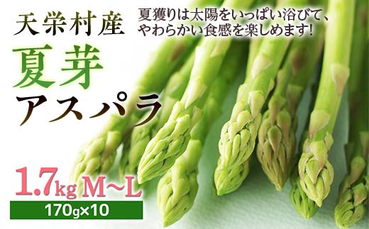 【先行予約】 ≪天栄村産≫ 夏芽アスパラM〜Lサイズ 1.7kg F21T-440福島県天栄村15000野菜・きのこその他 野菜