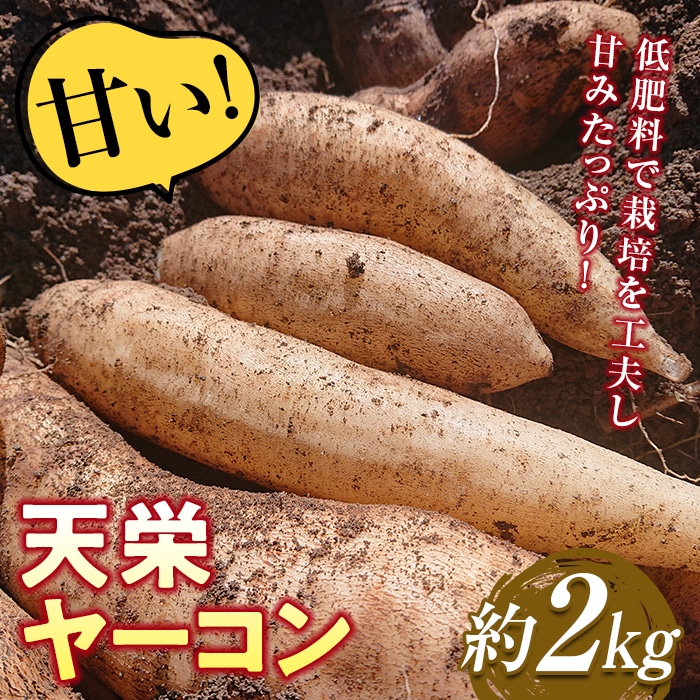 ÂIʍ͔|ōVh[R 2kg  VslX  C   Vh F21T-114Vh5000؁Ê卪EjWEؗ