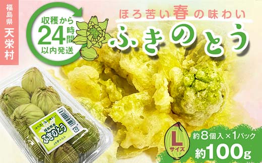収穫から24時間以内に発送!ほろ苦い春の味わい「ふきのとう」Lサイズ1パック100g(約8個) F21T-347福島県天栄村6000野菜・きのこその他 野菜