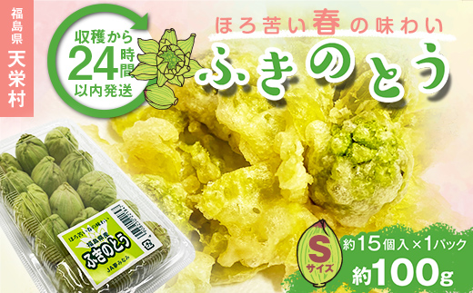 収穫から24時間以内に発送!ほろ苦い春の味わい「ふきのとう」Sサイズ1パック100g(約15個) F21T-351福島県天栄村6000野菜・きのこその他 野菜