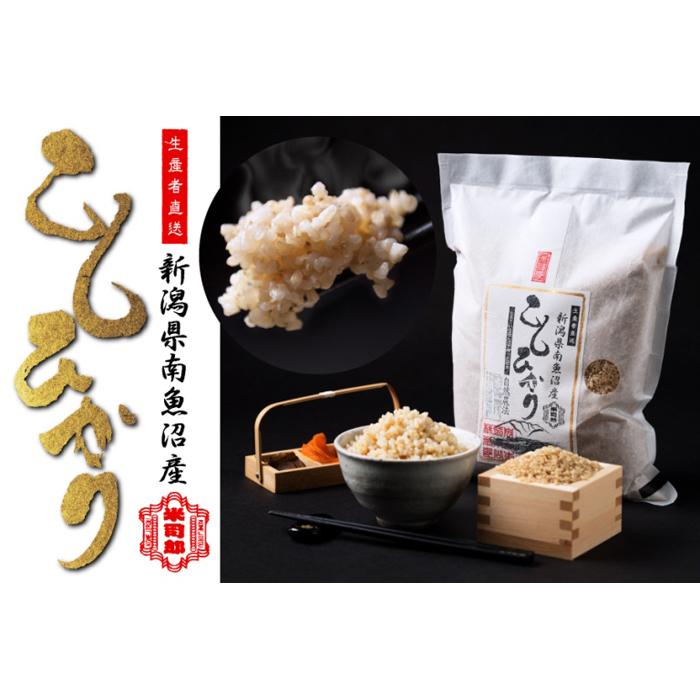 【令和7年産】【玄米】自然農法/化学肥料不使用の南魚沼産こしひかり2kg新潟県南魚沼市10000米・パン玄米・雑穀米・もち米・餅