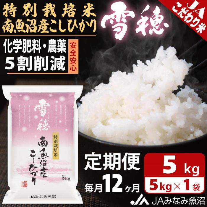 【JAみなみ魚沼定期便】特別栽培米南魚沼産こしひかり「雪穂」(5kg×全12回)精米 農薬5割削減 精米HACCP認定工場 特A獲得日本一産地 高品質精米 もっちり甘い 南魚沼産コシヒカリ新潟県南