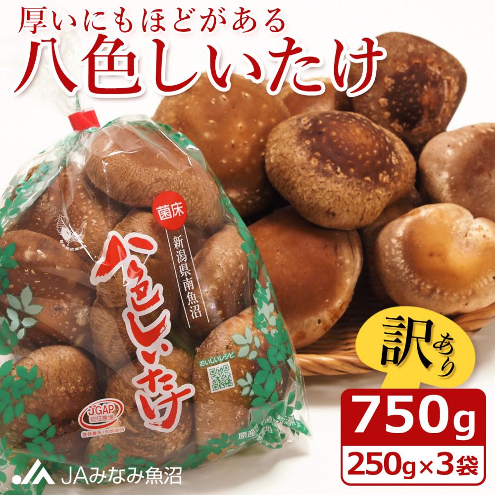 yƒpzɂقǂuFv750gi250g×3܁j󂠂 s낢 _ƉV싛s6000؁Ê̂