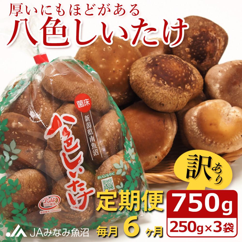 【JAみなみ魚沼定期便】家庭用「八色しいたけ」(750g×全6回) 訳あり 不ぞろい 農家応援 厚いにもほどがある新潟県南魚沼市35000野菜・きのこきのこ