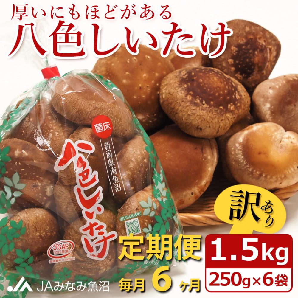 yJA݂Ȃ݋ցzƒpuFvi1.5kg×S6j 󂠂 s낢 _Ɖ ɂقǂV싛s65000؁Ê̂