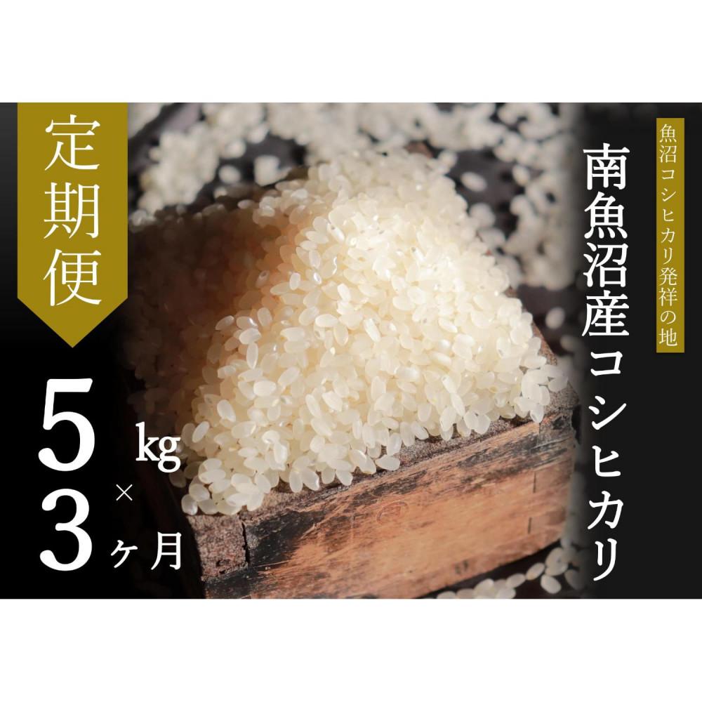 【令和7年産新米予約】【定期便・上旬お届け】5kg×3ヶ月 南魚沼産コシヒカリ【2025年10月上旬より順次発送予定】新潟県南魚沼市72000米・パン白米