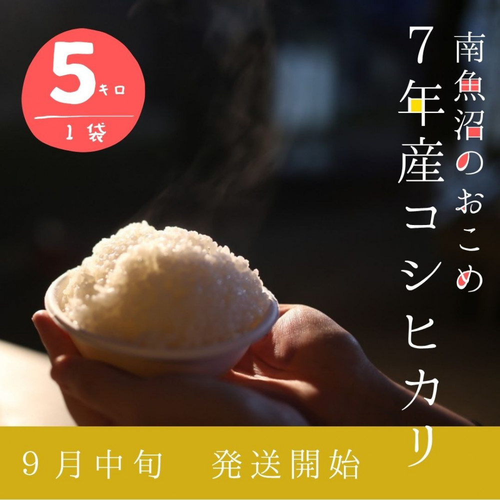 【令和7年産新米】5kg/南魚沼産コシヒカリ うちやま農園のお米/発祥の地新潟県南魚沼市24000米・パン白米