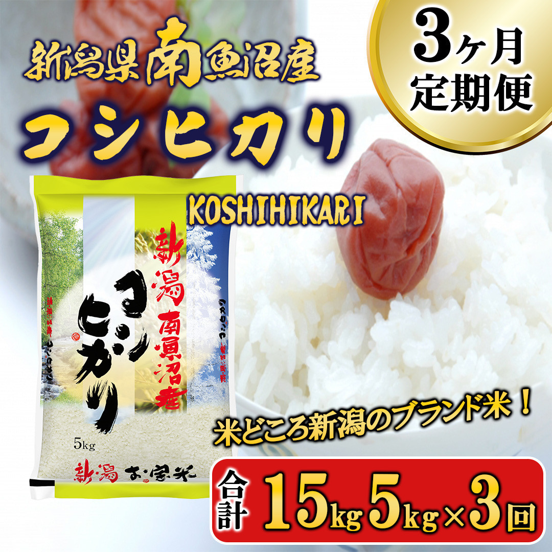 【令和7年産新米予約】【A-3定期便】南魚沼産コシヒカリ5kg×3回【2025年11月中旬より順次発送予定】新潟県南魚沼市72000米・パン白米