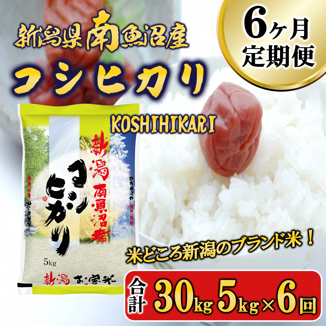 【令和7年産新米予約】【A-6定期便】南魚沼産コシヒカリ5kg×6回【2025年11月中旬より順次発送予定】新潟県南魚沼市144000米・パン白米