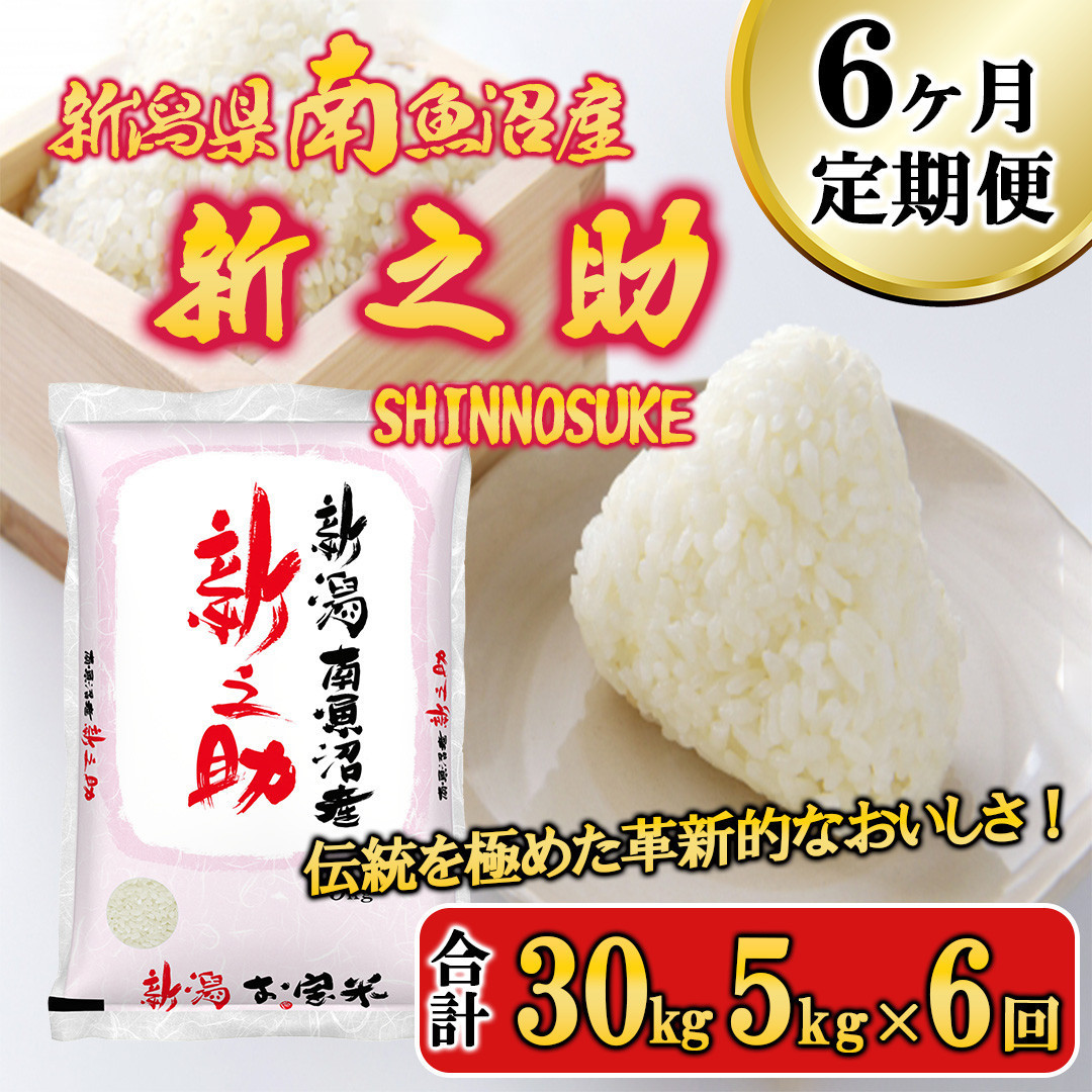 【令和7年産新米予約】【C-6定期便】南魚沼産新之助5kg×6回【2025年11月中旬より順次発送予定】新潟県南魚沼市144000米・パン白米
