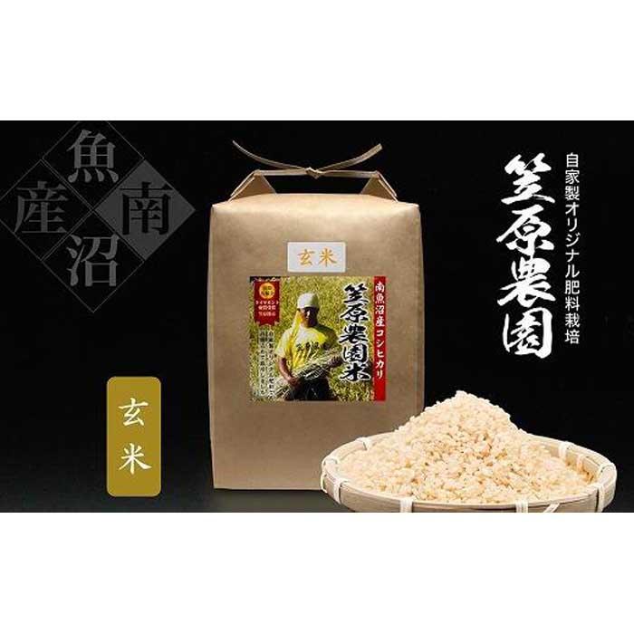 【定期便】【令和7年産新米】南魚沼産 笠原農園米 コシヒカリ玄米【5kg×全6回】新潟県南魚沼市156000米・パン玄米・雑穀米・もち米・餅