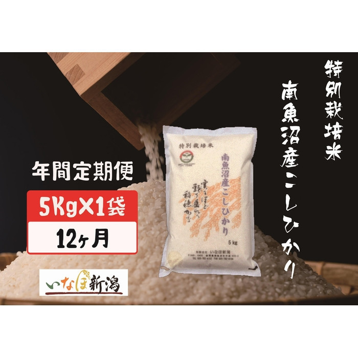 yߘa7NxYVė\zyzz싛YRVqJʍ͔|  5kg S12y2025N10{菇\zV싛s288000āEp