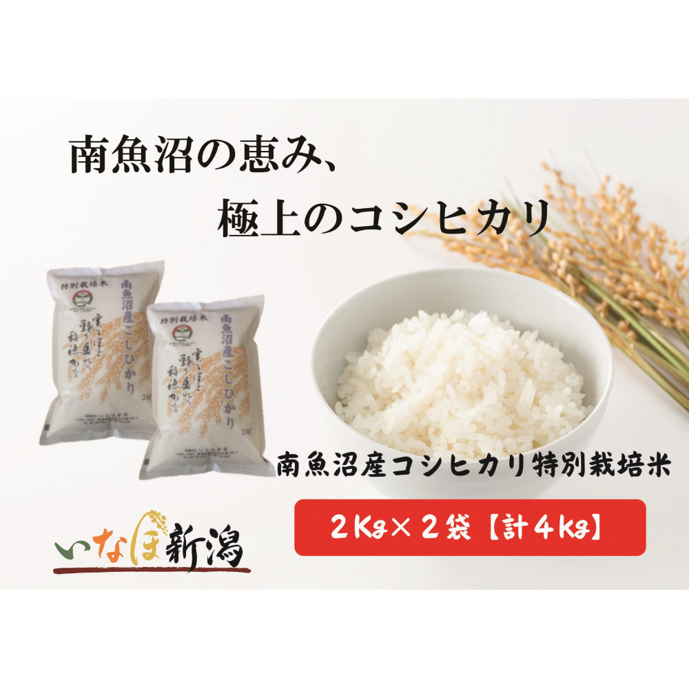 yߘa7NYVė\z싛YRVqJʍ͔|  2kg×2 v4kgy2025N10{菇\zV싛s20000āEp