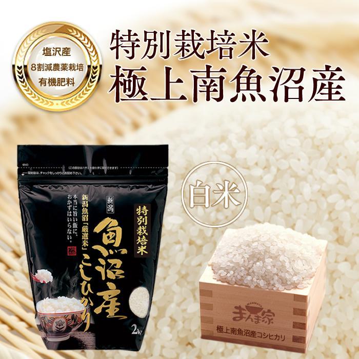 【令和7年産新米予約】【定期便】特別栽培米「極上南魚沼産コシヒカリ」(有機肥料、8割減農薬栽培)精米8kg×全3回【2025年9月中旬より順次発送予定】新潟県南魚沼市150000米・パン白米