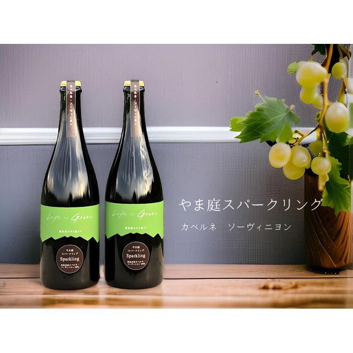 カベルネ・ソービニヨンの辛口スパークリングワイン 2本セット新潟県南魚沼市42000酒・アルコールワイン
