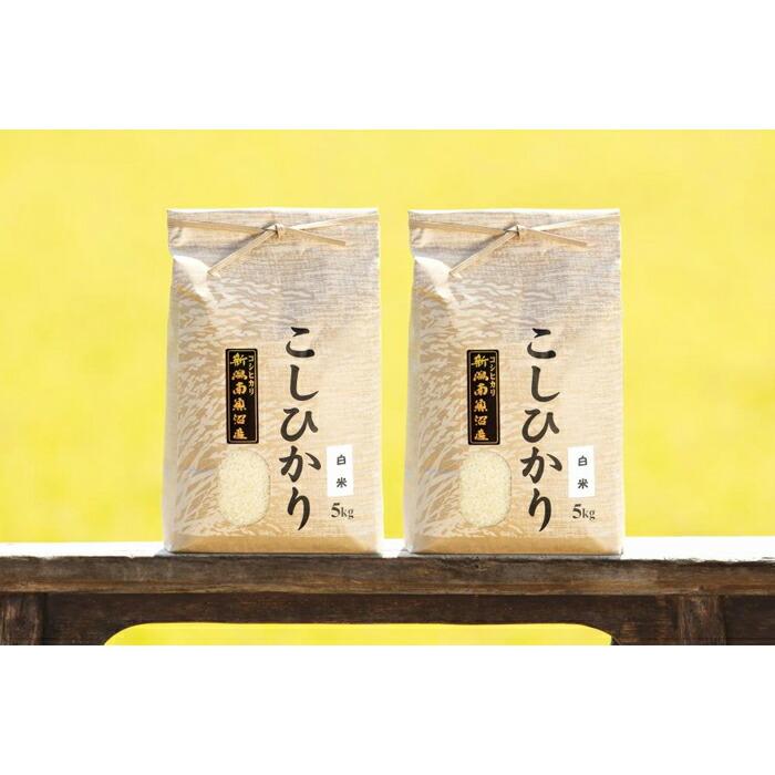 【頒布会】【令和7年産 新米予約】南魚沼産コシヒカリ(白米10kg×全3回)【令和7年11月上旬より順次発送予定】新潟県南魚沼市120000米・パン白米