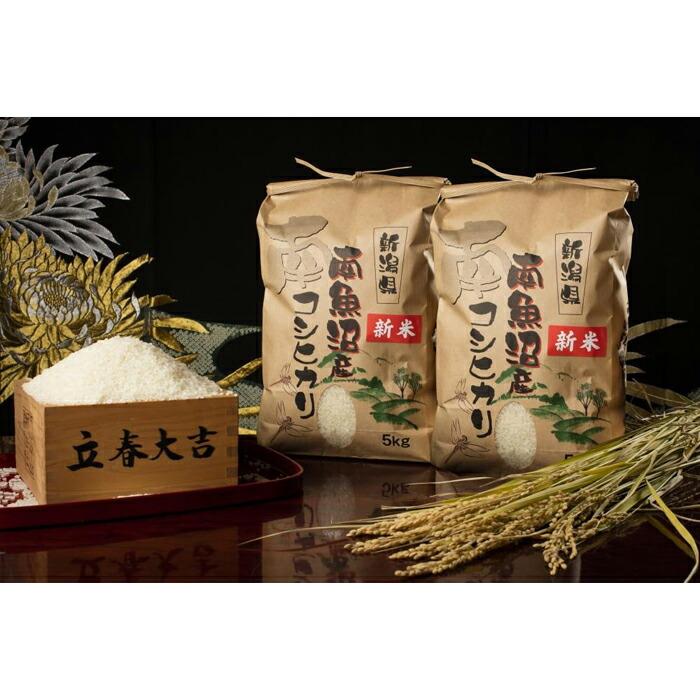 【頒布会】【令和7年産 新米予約】南魚沼塩沢産こしひかり(白米10kg×全3回)【令和7年11月上旬より順次発送予定】新潟県南魚沼市126000米・パン白米