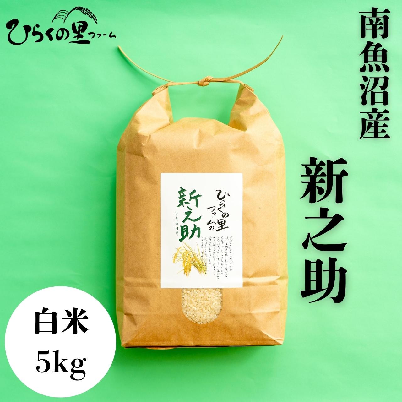 yR7NYz 싛YVV 5kg ߂嗱I Ђ炭̗t@[y2025N11{菇\zV싛s30000āEp