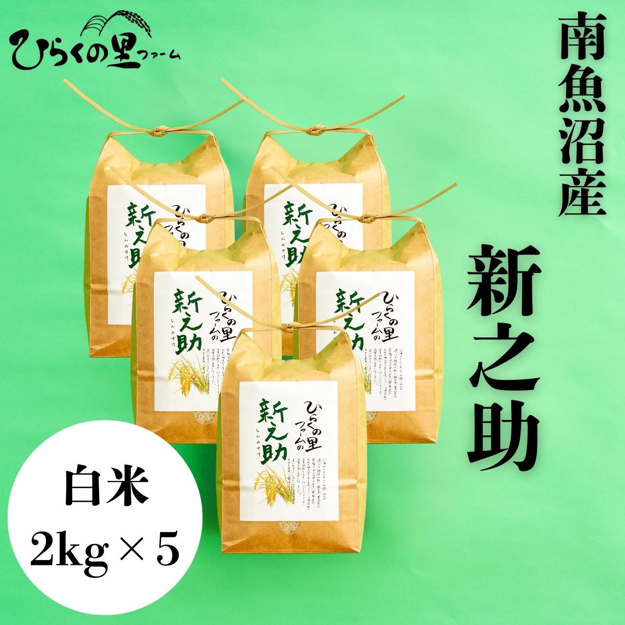 【R7年産】金賞 南魚沼産新之助 白米2kg×5 きらめく大粒! ひらくの里ファーム【2025年11月上旬より順次発送予定】新潟県南魚沼市60000米・パン白米