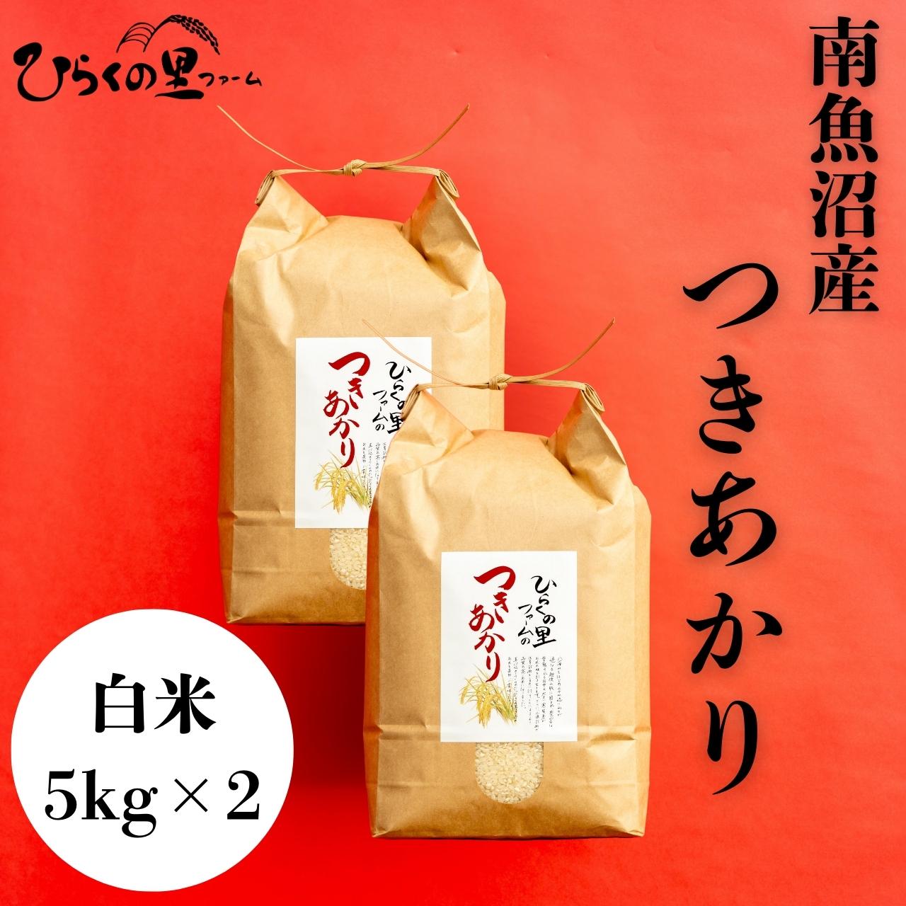 yR7NYz싛Y 5kg×2 艐₩I Ђ炭̗t@[V싛s40000āEp