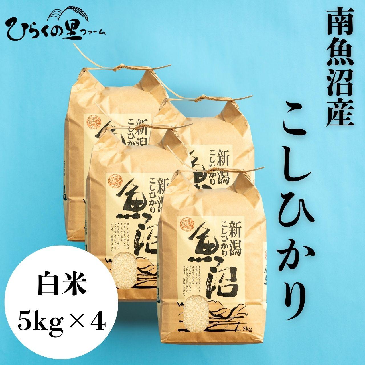 yR7NYz싛YRVqJ 5kg×4 Ђ炭̗t@[V싛s104000āEp