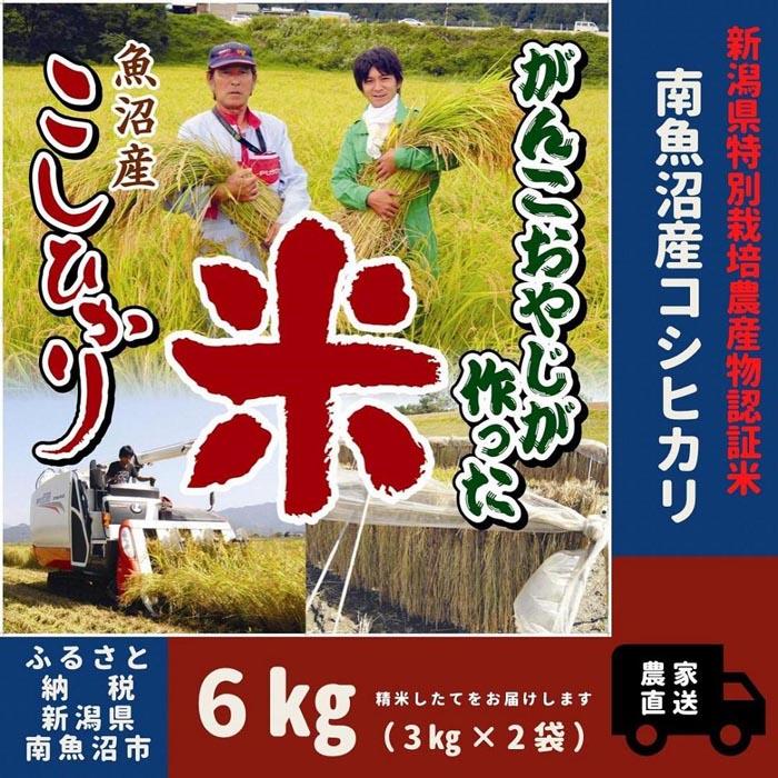 【令和7年産新米】特別栽培米 がんこおやじが作った南魚沼産コシヒカリ 白米6kg(3kg×2袋)新潟県南魚沼市32000米・パン白米