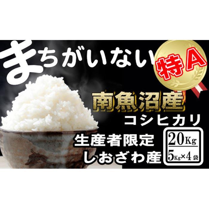 yߘa7NYzYҌ^_͔| 싛YRVqJ20KgiTKg ×4܁jy2025N10{菇\zV싛s100000āEp