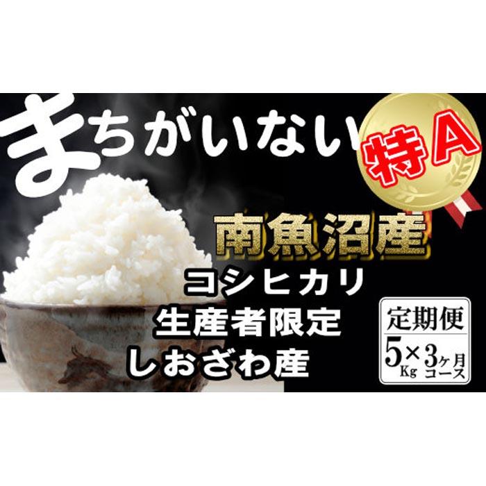 【令和7年産】【定期便】生産者限定 契約栽培  南魚沼しおざわ産コシヒカリ(5Kg×3ヶ月)【2025年10月上旬より順次発送予定】新潟県南魚沼市75000米・パン白米
