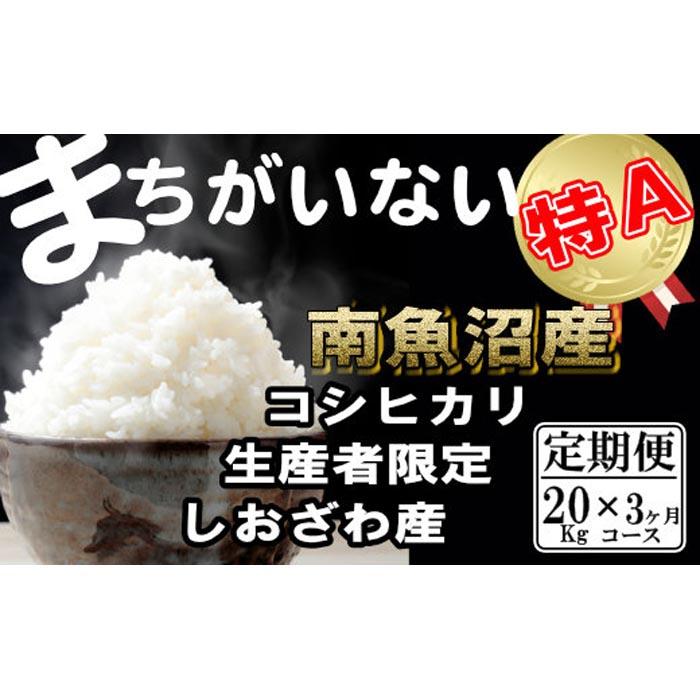 【令和7年産】【定期便】生産者限定 契約栽培 南魚沼しおざわ産コシヒカリ(20Kg×3ヶ月)【2025年10月上旬より順次発送予定】新潟県南魚沼市300000米・パン白米