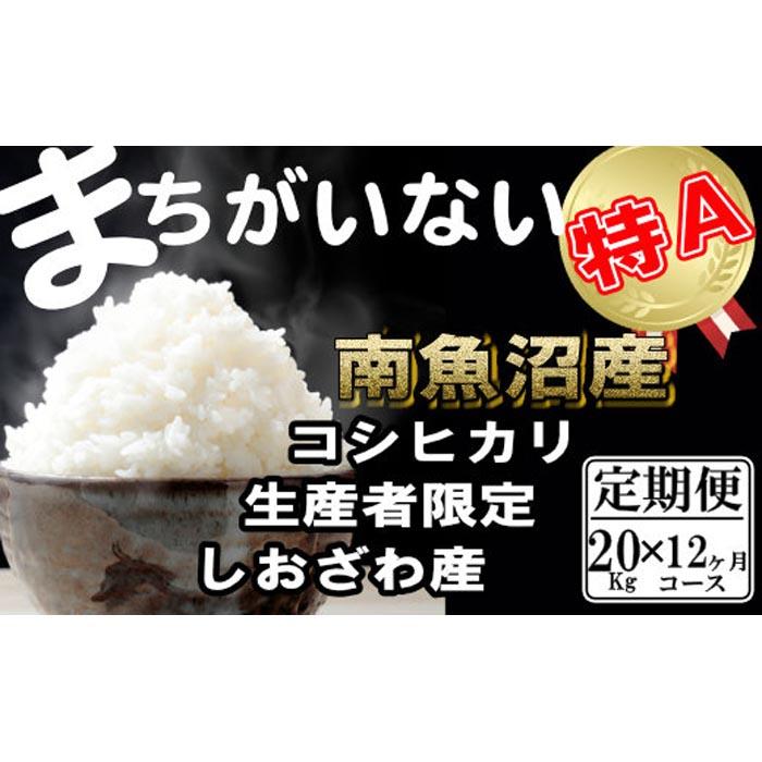 【令和7年産】【定期便】生産者限定 契約栽培 南魚沼しおざわ産コシヒカリ(20Kg×12ヶ月)【2025年10月上旬より順次発送予定】新潟県南魚沼市1200000米・パン白米