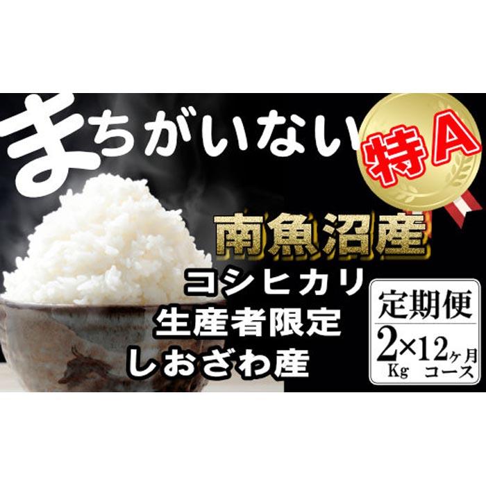 【令和7年産】【定期便】生産者限定 契約栽培 南魚沼しおざわ産コシヒカリ(2Kg×12ヶ月)【2025年10月上旬より順次発送予定】新潟県南魚沼市132000米・パン白米