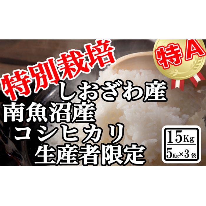 yߘa7NYzʍ͔| YҌ 싛YRVqJ15Kgy2025N10{菇\zV싛s75000āEp