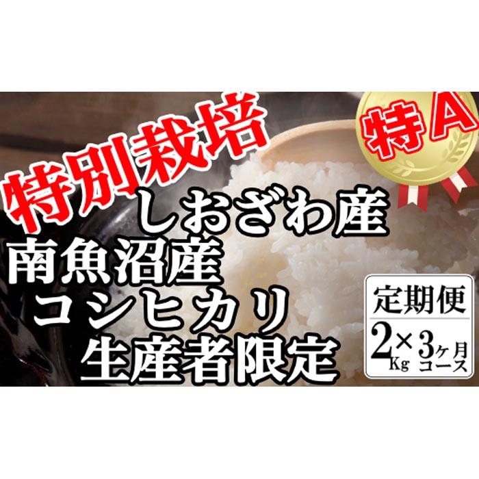 【令和7年産】【定期便:2Kg×3ヶ月】特別栽培 生産者限定  南魚沼しおざわ産コシヒカリ【2025年10月上旬より順次発送予定】新潟県南魚沼市33000米・パン白米