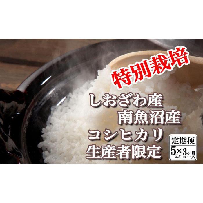 【令和7年産】【定期便:5Kg×3ヶ月】特別栽培 生産者限定  南魚沼しおざわ産コシヒカリ【2025年10月上旬より順次発送予定】新潟県南魚沼市75000米・パン白米