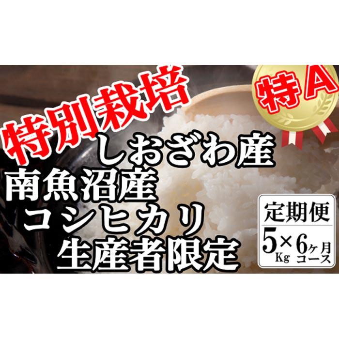 【令和7年産】【定期便:5Kg×6ヶ月】特別栽培 生産者限定  南魚沼しおざわ産コシヒカリ【2025年10月上旬より順次発送予定】新潟県南魚沼市150000米・パン白米