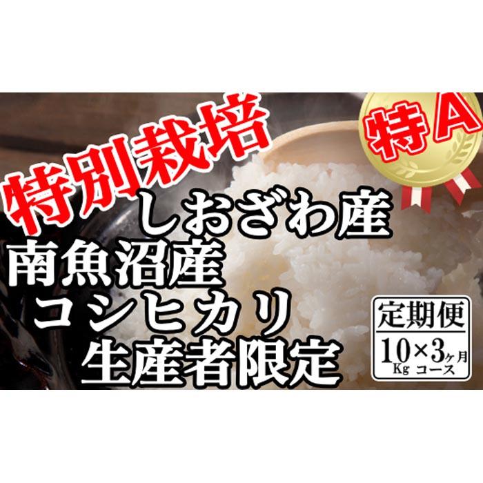 【令和7年産】【定期便:10Kg×3ヶ月】特別栽培 生産者限定  南魚沼しおざわ産コシヒカリ【2025年10月上旬より順次発送予定】新潟県南魚沼市150000米・パン白米