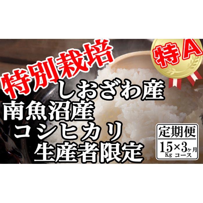 【令和7年産】【定期便:15Kg×3ヶ月】特別栽培 生産者限定  南魚沼しおざわ産コシヒカリ【2025年10月上旬より順次発送予定】新潟県南魚沼市225000米・パン白米