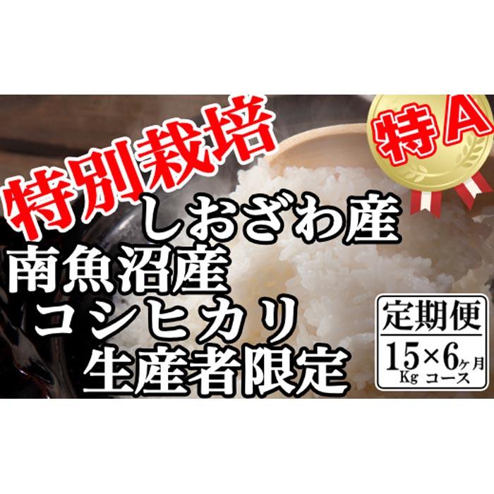 【令和7年産】【定期便:15Kg×6ヶ月】特別栽培 生産者限定  南魚沼しおざわ産コシヒカリ【2025年10月上旬より順次発送予定】新潟県南魚沼市450000米・パン白米