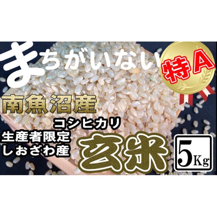 【令和7年産】玄米 生産者限定 南魚沼しおざわ産コシヒカリ5Kg【2025年10月上旬より順次発送予定】新潟県南魚沼市25000米・パン玄米・雑穀米・もち米・餅