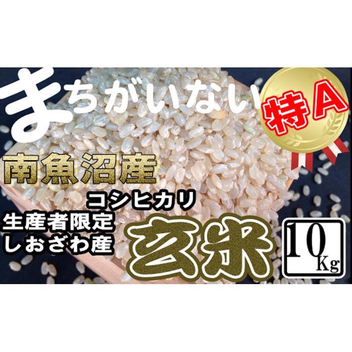 【令和7年産】玄米 生産者限定 南魚沼しおざわ産コシヒカリ10Kg【2025年10月上旬より順次発送予定】新潟県南魚沼市50000米・パン玄米・雑穀米・もち米・餅