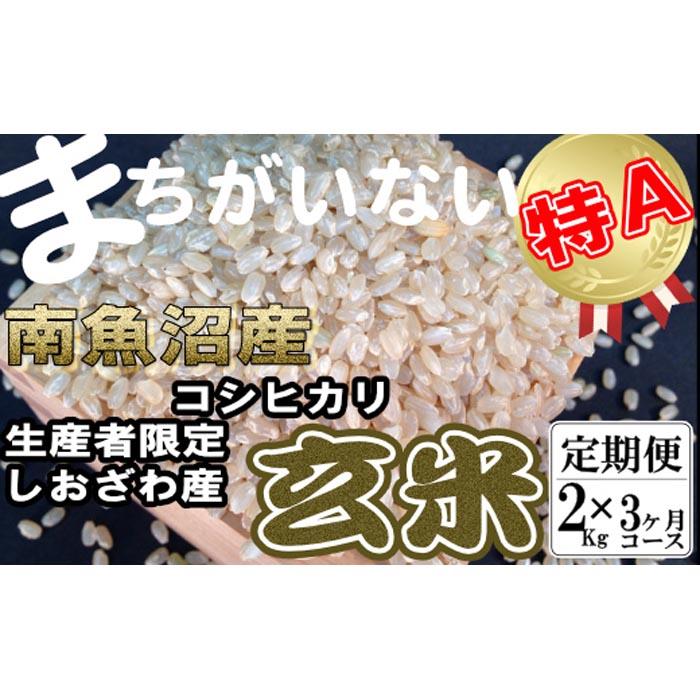 yߘa7NYzyցz YҌ 싛YRVqJ2Kg×3y2025N10{菇\zV싛s33000āEpāEGāEāE