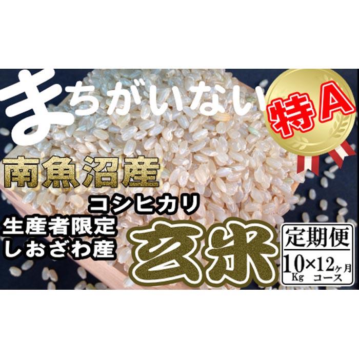 yߘa7NYzyցz YҌ 싛YRVqJ10Kg×12y2025N10{菇\zV싛s600000āEpāEGāEāE